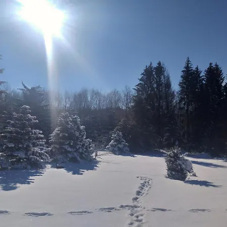 Hochwald-balkon